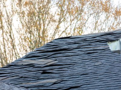 damaged shingles, lifted shingles, storm damage