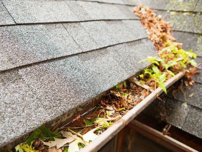 dirty gutters with leaves