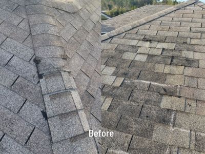 gray shingles with storm damage